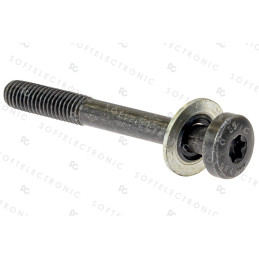 PUMP SCREW WITH WASHER