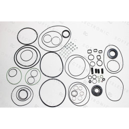 OVERHAUL KIT