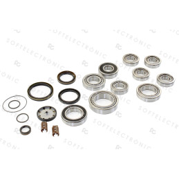 BEARING SEAL KIT