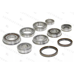BEARING  SEAL KIT - 2WD