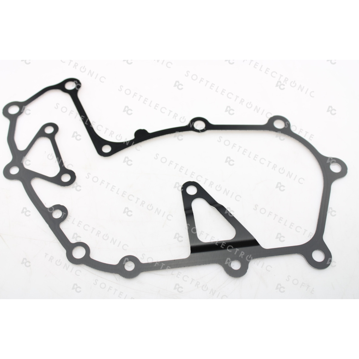 GASKET PUMP/CHAIN