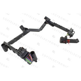 HARNESS BETWEEN SENSOR MODULE AND TCM